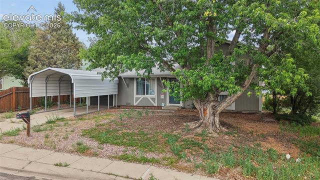 MLS Image for 2297  Whitewood  ,Colorado Springs, Colorado