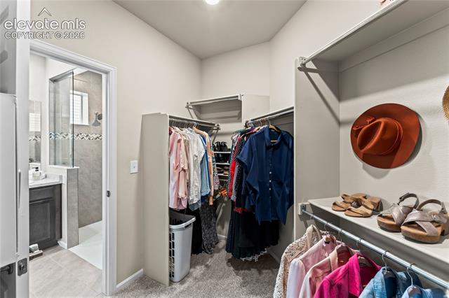 MLS Image for 6363  Syre  ,Colorado Springs, Colorado