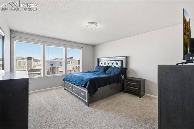 MLS Image for 11461  Wigeon  ,Colorado Springs, Colorado