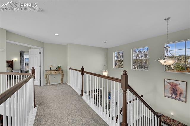 MLS Image for 514  Coyote Willow  ,Colorado Springs, Colorado