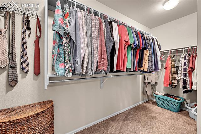 MLS Image for 514  Coyote Willow  ,Colorado Springs, Colorado