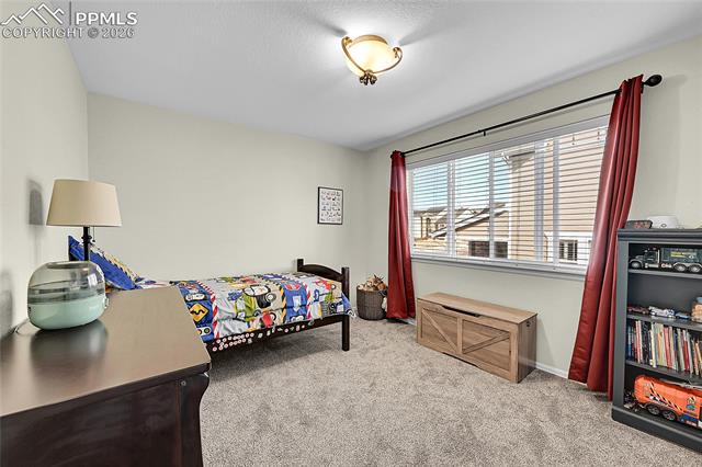 MLS Image for 514  Coyote Willow  ,Colorado Springs, Colorado