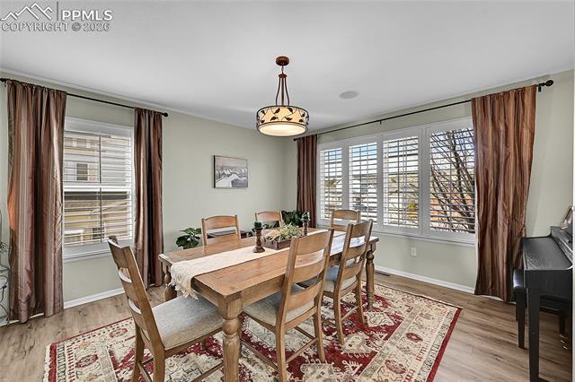 MLS Image for 514  Coyote Willow  ,Colorado Springs, Colorado