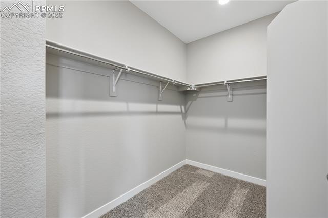 MLS Image for 967  Sunny Shore  ,Monument, Colorado
