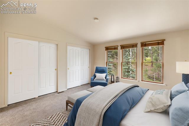 MLS Image for 534  Poncha Creek  ,Florissant, Colorado