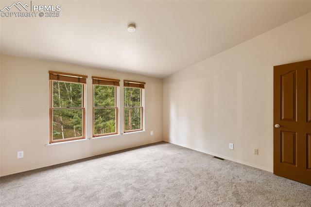 MLS Image for 534  Poncha Creek  ,Florissant, Colorado