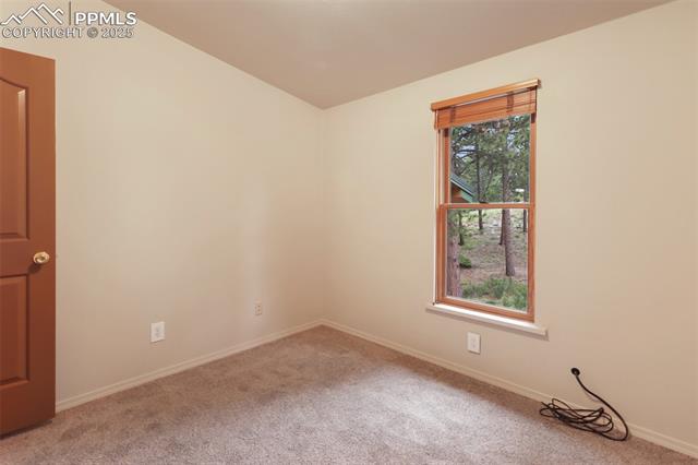 MLS Image for 534  Poncha Creek  ,Florissant, Colorado