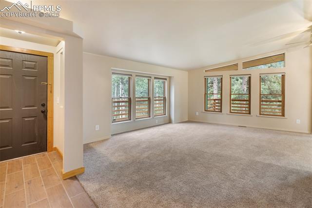 MLS Image for 534  Poncha Creek  ,Florissant, Colorado
