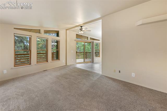 MLS Image for 534  Poncha Creek  ,Florissant, Colorado