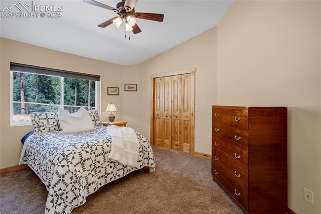 MLS Image for 1076  Lucky Lady  ,Woodland Park, Colorado