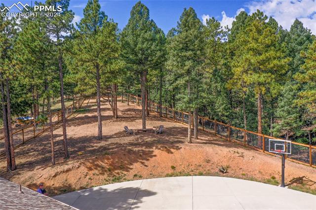 MLS Image for 1076  Lucky Lady  ,Woodland Park, Colorado