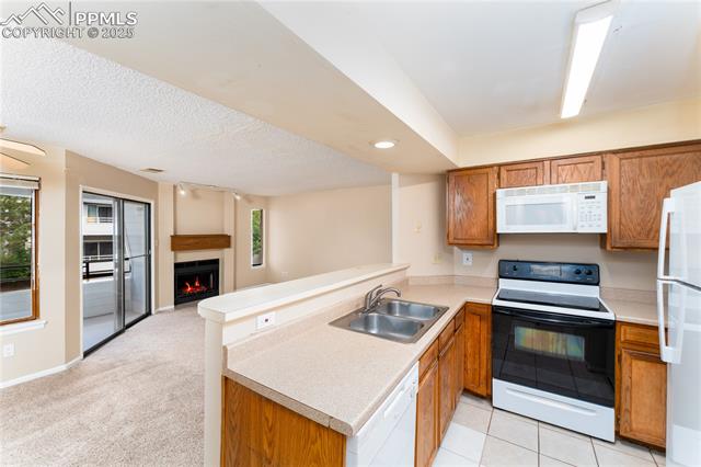 MLS Image for 3628  Iguana   ,Colorado Springs, Colorado