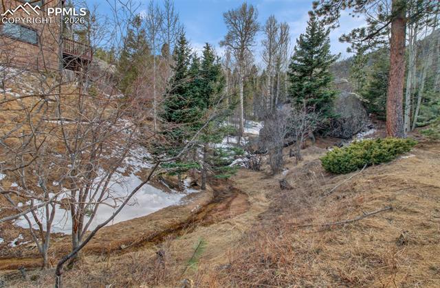MLS Image for 5865  Waterfall  ,Manitou Springs, Colorado