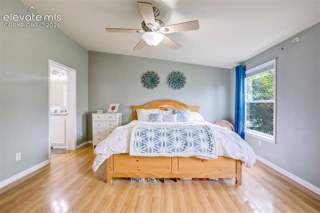 MLS Image for 7647  Whiptail  ,Colorado Springs, Colorado