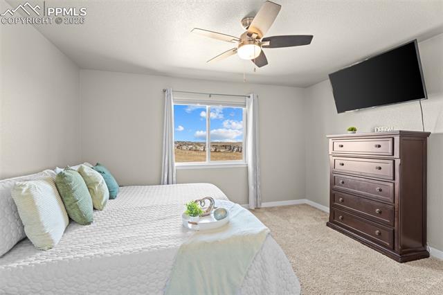 MLS Image for 7502  Willow Pines  ,Fountain, Colorado