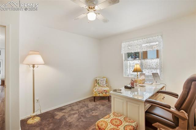 MLS Image for 247  Turnabout  ,Florissant, Colorado