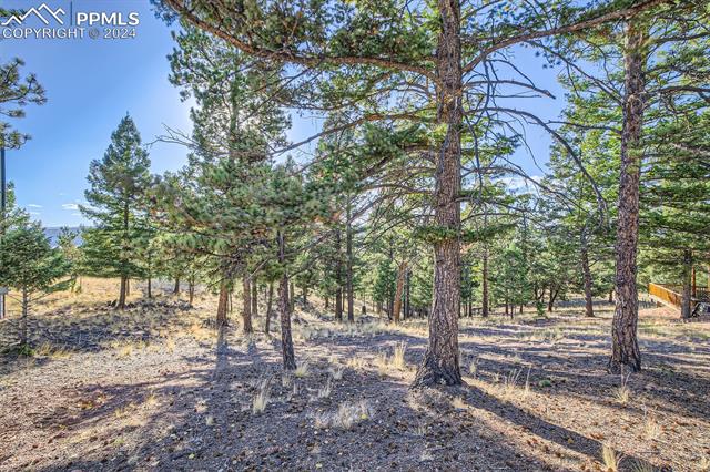 MLS Image for 25  Amanda  ,Florissant, Colorado