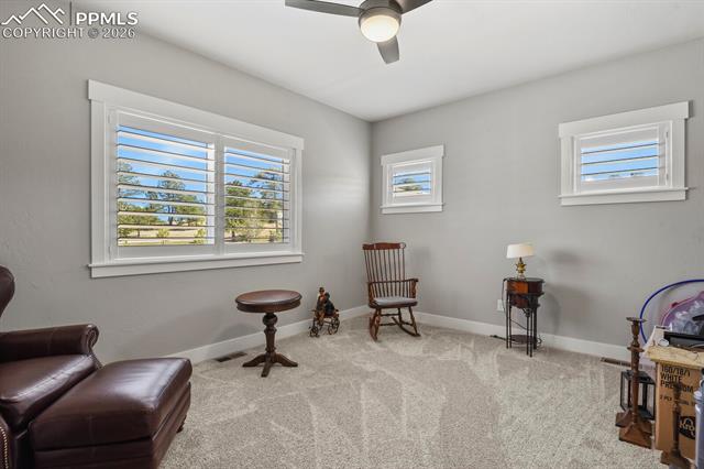 MLS Image for 11073  Mosey  ,Colorado Springs, Colorado