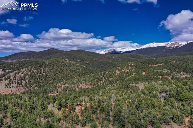 MLS Image for 222  Fluorite  ,Divide, Colorado