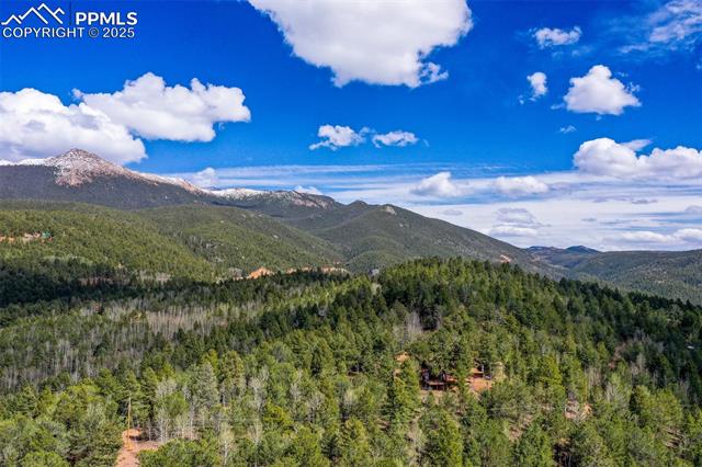 MLS Image for 222  Fluorite  ,Divide, Colorado