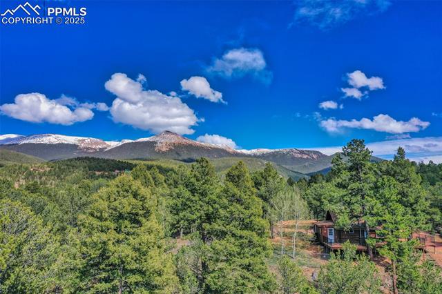 MLS Image for 222  Fluorite  ,Divide, Colorado