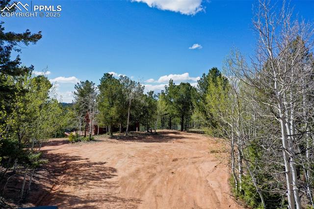MLS Image for 222  Fluorite  ,Divide, Colorado