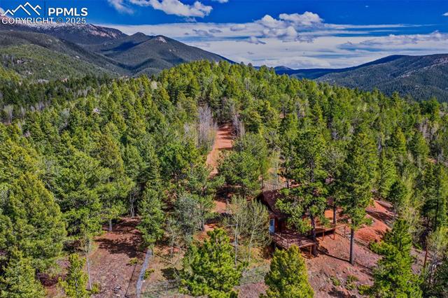 MLS Image for 222  Fluorite  ,Divide, Colorado