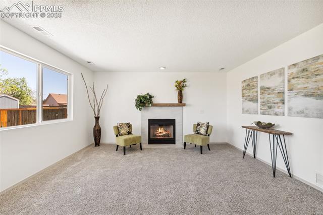 MLS Image for 1510 S Canoe Creek  ,Colorado Springs, Colorado