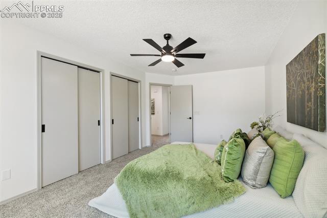 MLS Image for 1510 S Canoe Creek  ,Colorado Springs, Colorado