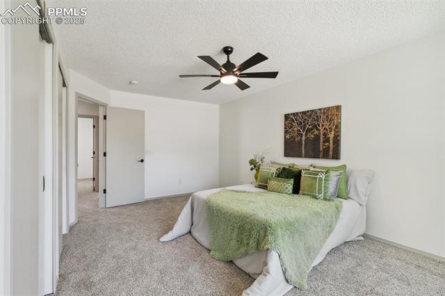 MLS Image for 1510 S Canoe Creek  ,Colorado Springs, Colorado