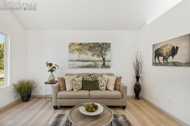 MLS Image for 1510 S Canoe Creek  ,Colorado Springs, Colorado