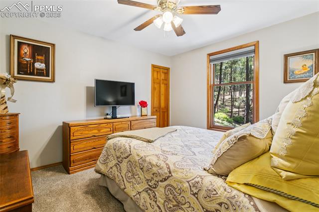 MLS Image for 1350  Spring Valley  ,Colorado Springs, Colorado