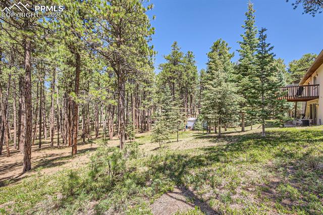 MLS Image for 18150  Martingale  ,Monument, Colorado