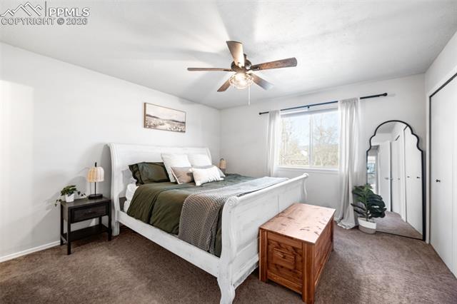 MLS Image for 8720  Boxelder  ,Colorado Springs, Colorado