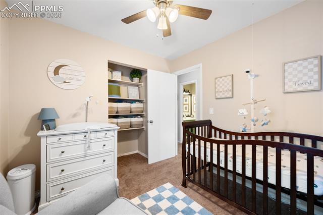 MLS Image for 8720  Boxelder  ,Colorado Springs, Colorado