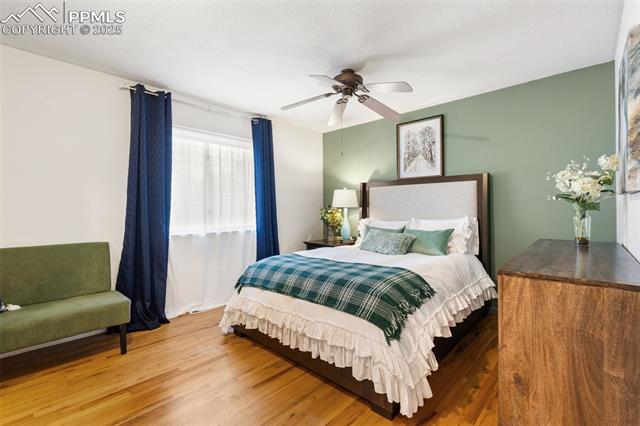 MLS Image for 4534  Bella  ,Colorado Springs, Colorado