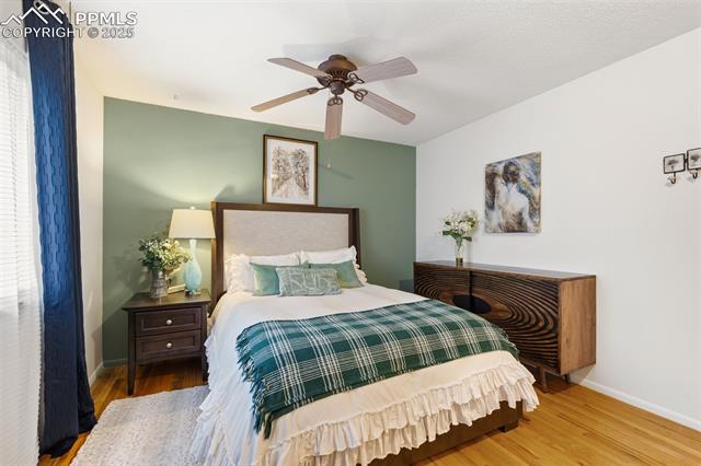 MLS Image for 4534  Bella  ,Colorado Springs, Colorado