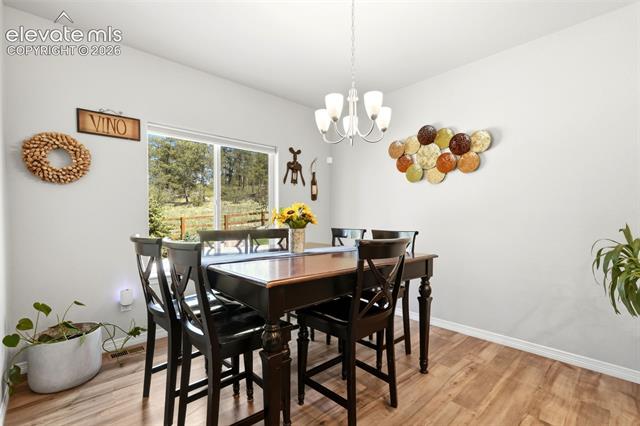 MLS Image for 10446  Odin  ,Colorado Springs, Colorado