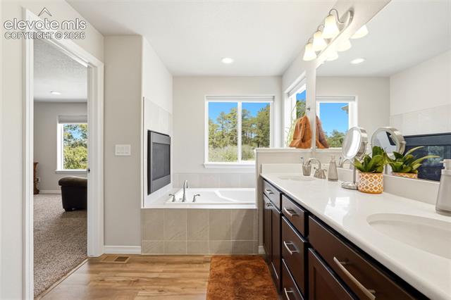 MLS Image for 10446  Odin  ,Colorado Springs, Colorado