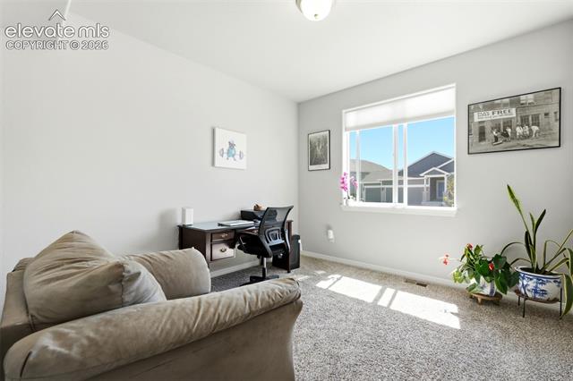 MLS Image for 10446  Odin  ,Colorado Springs, Colorado