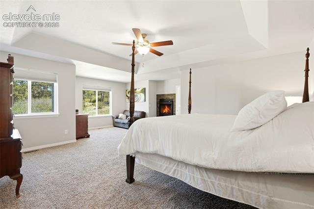 MLS Image for 10446  Odin  ,Colorado Springs, Colorado