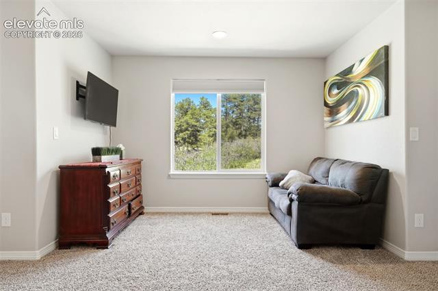 MLS Image for 10446  Odin  ,Colorado Springs, Colorado
