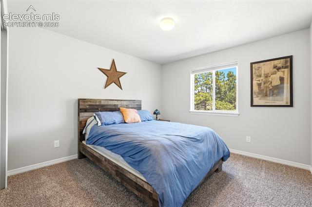 MLS Image for 10446  Odin  ,Colorado Springs, Colorado