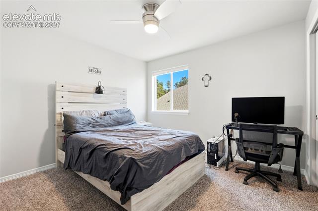 MLS Image for 10446  Odin  ,Colorado Springs, Colorado