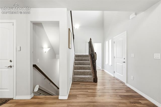 MLS Image for 10446  Odin  ,Colorado Springs, Colorado