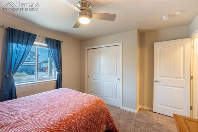 MLS Image for 6121  Anders Ridge  ,Colorado Springs, Colorado