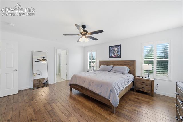 MLS Image for 8360  Winding Passage  ,Colorado Springs, Colorado
