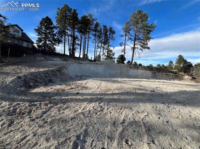 MLS Image for 19942  Chisholm  ,Monument, Colorado