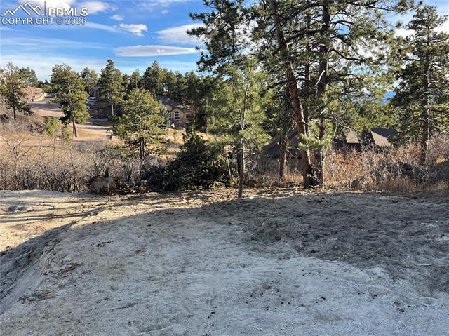 MLS Image for 19942  Chisholm  ,Monument, Colorado