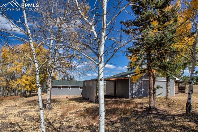 MLS Image for 246  Maid Marian  ,Divide, Colorado